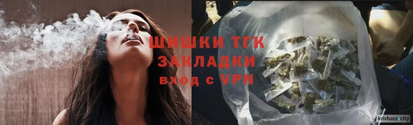 индика Беломорск