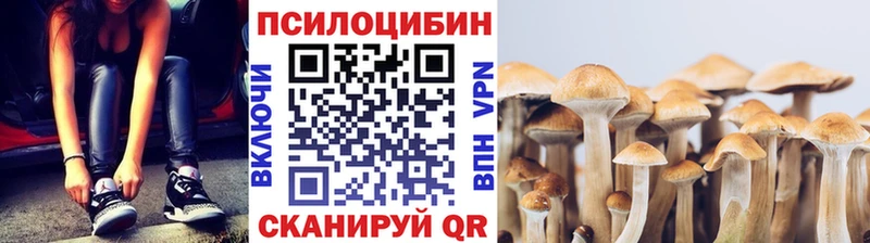 где купить наркоту  Строитель  omg ссылки  Псилоцибиновые грибы MAGIC MUSHROOMS 